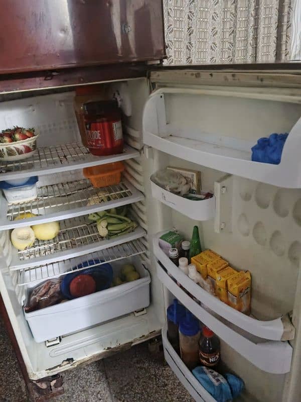 pell Refrigerator For Sale 3