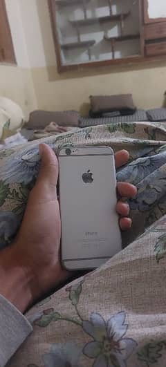 iPhone 6