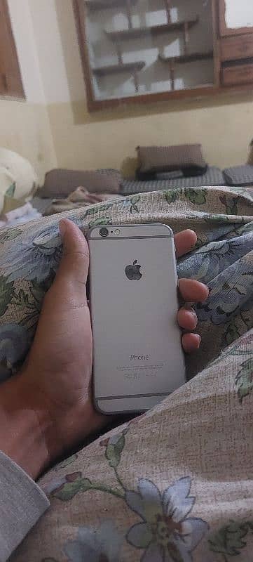 iPhone 6 0