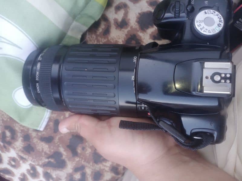 Canon Kis X3 75-300mm Lens 2