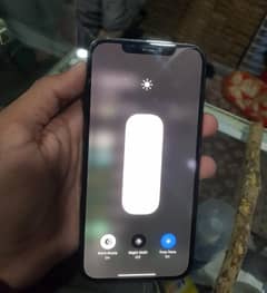 iphone 12 pro max Gx panel