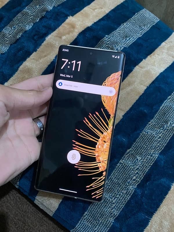 Pixel 6 Pro Official PTA 5