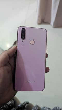 vivo