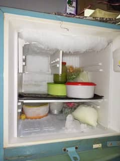 fridge