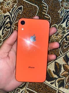 iPhone xr