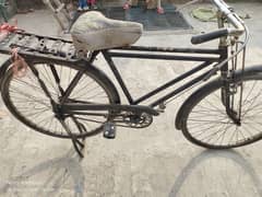 Baba Bicycle 11000