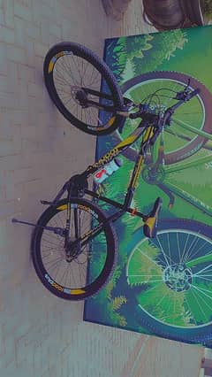 Road Master Mountain Bicycle| 29 inches | 10/10 Condition