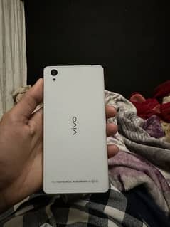 vivo