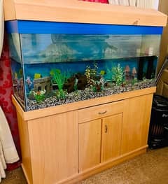 Aquarium  Fish Tank