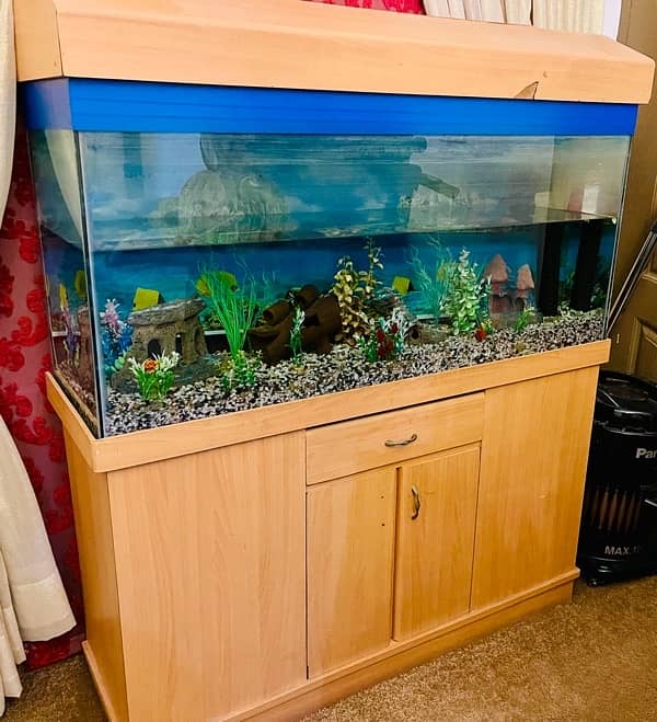 Aquarium  Fish Tank 0