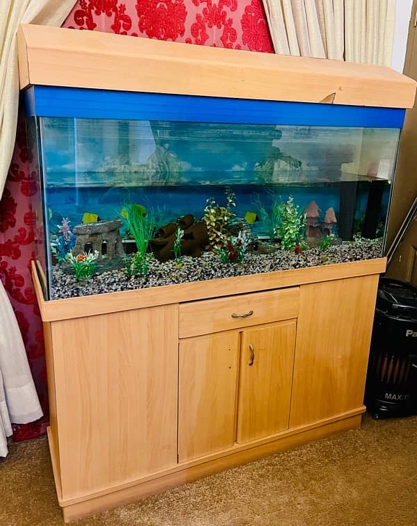 Aquarium  Fish Tank 1