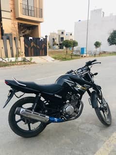 Yamaha ybr 125g 2019 model lush condition