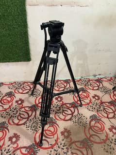 Kingjoy Tripod