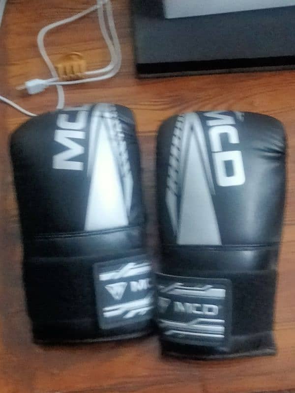 MCD Boxing bag 7