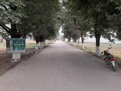 8 Marla Plot Available for sale in Pakistan Colony, Banigala