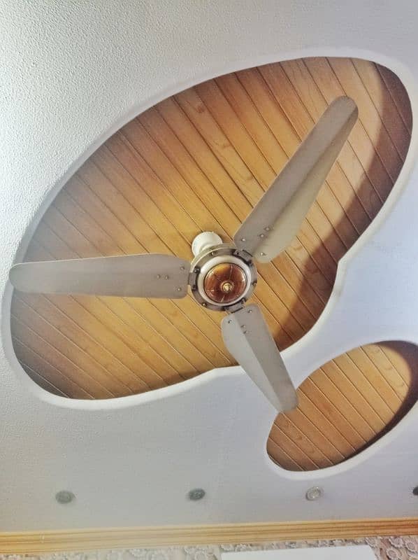 Ceiling fan 2