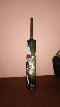 Kashmiri Willow Cricket Bat