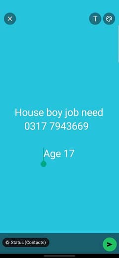 mujha house boy job chaye  age 17 0317 7943669