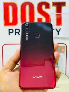 vivo