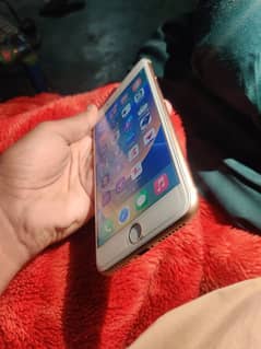 i phone 8+non pta panel change 03491140029 what app nbr ha