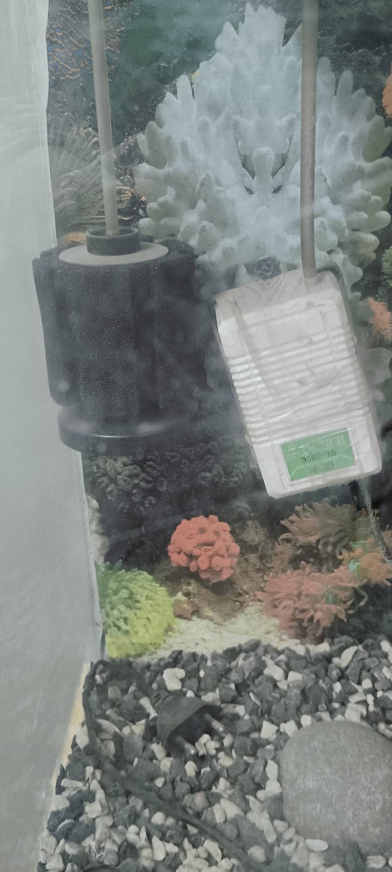 Aquarium for sale 2