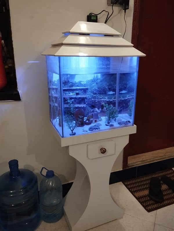 Beautifull Fish Aquarium with pump plants 2