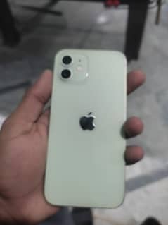 iPhone 12 green colour