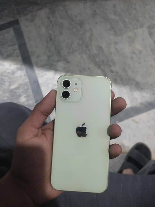 iPhone 12 green colour 4