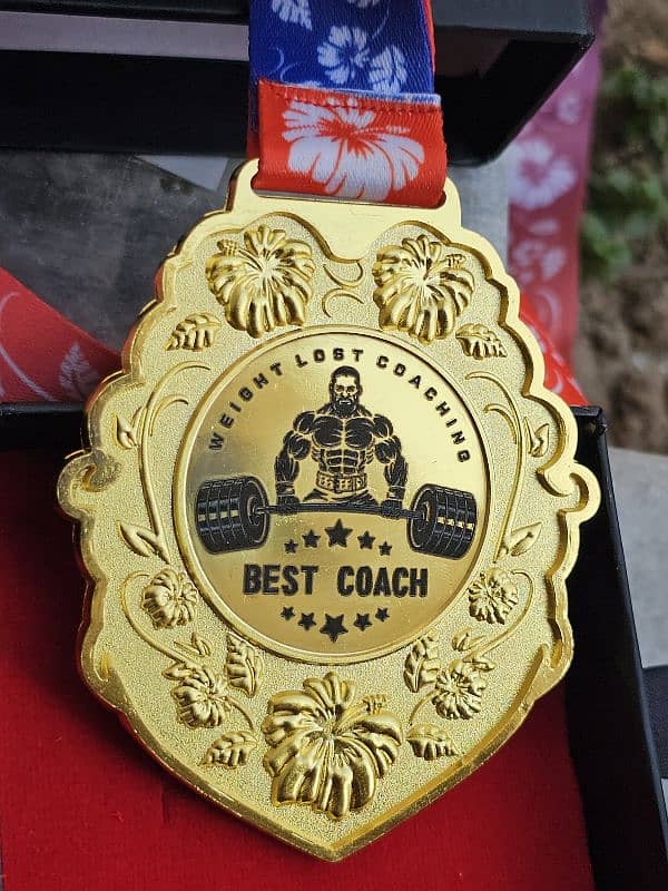 Customized Metal Medals for Sports, School, University, Event , Awards 2