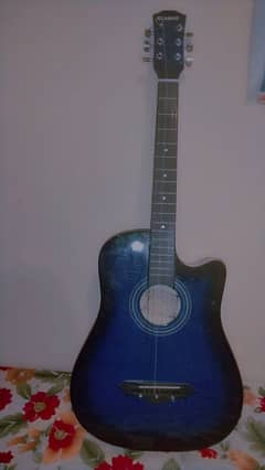 Acoustic Guitar