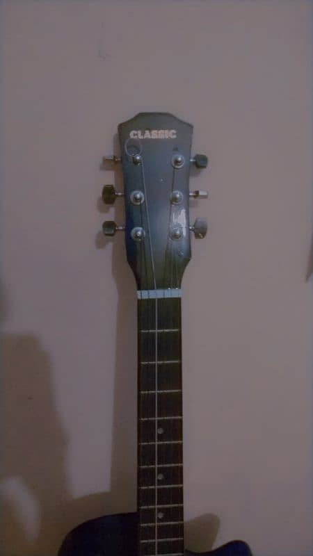 Acoustic Guitar 5