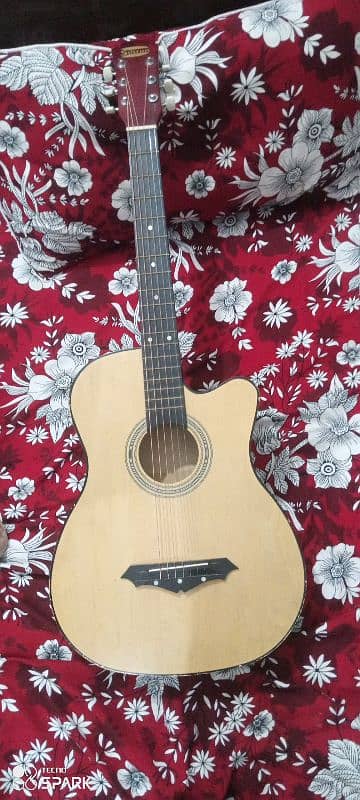 t_38c acoustic guitar 1