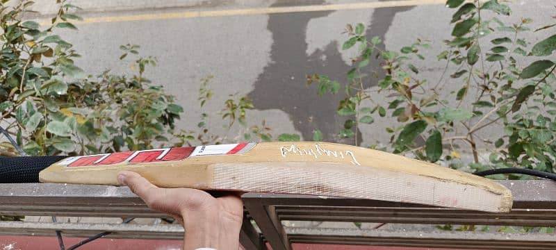 pure English Willow hard ball bats available 8