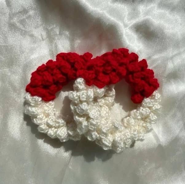 crochet gajray 3