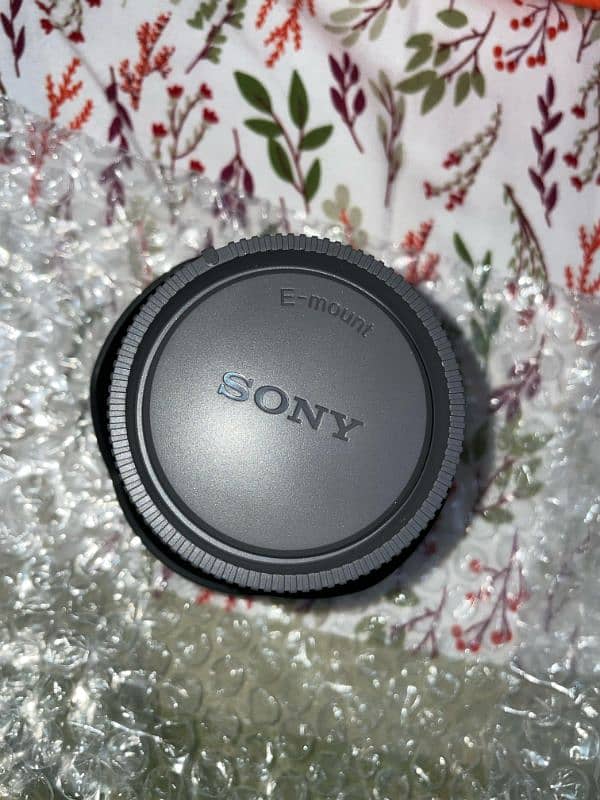 Sony E 10-18mm F4 OSS 8