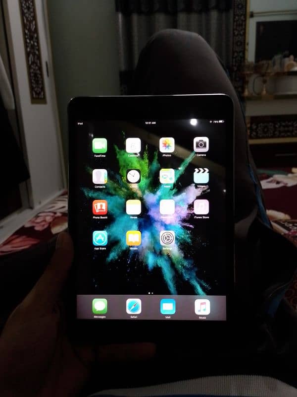 Ipad mini 1 4