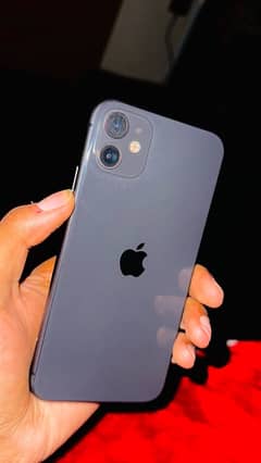 Apple iPhone 11 > exchange possible with iPhone