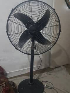 fan