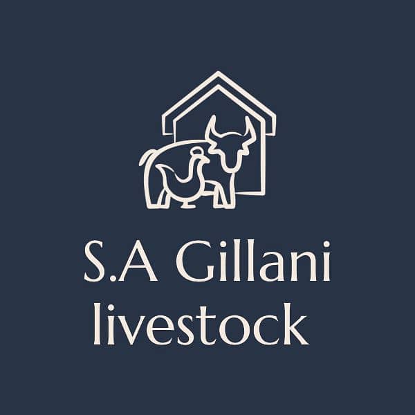 S. A Gillani livestock club makkhi chini best  breed available 0