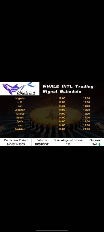 whale intl 5