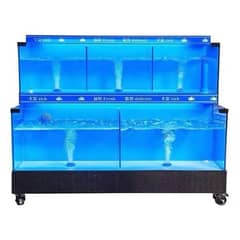 Fish Aquarium