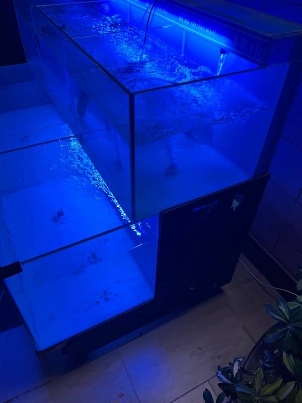 Fish Aquarium 5