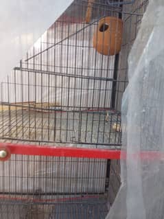 Birds cage for sale