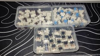 Mechanical Keyboard Switch Blue Switch, Black & Brown Lubricated