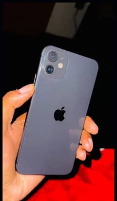 iphone 11 panel change hai face id off baqi all okay 92 323 3931746