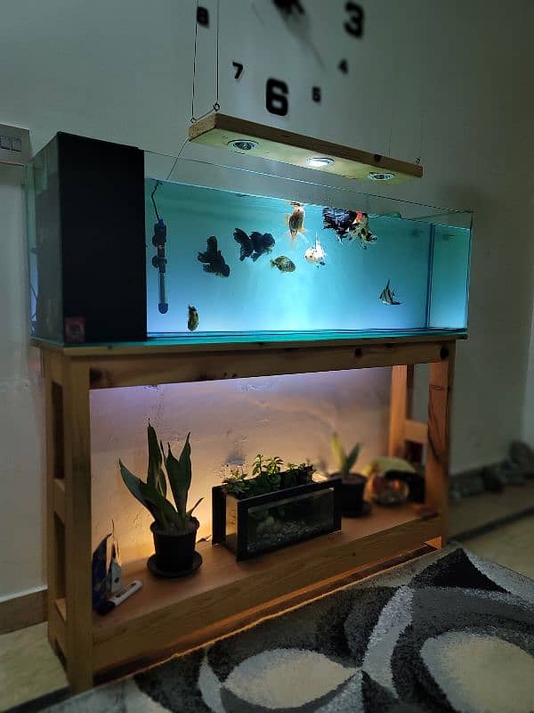 Brand new aquarium for sale 1