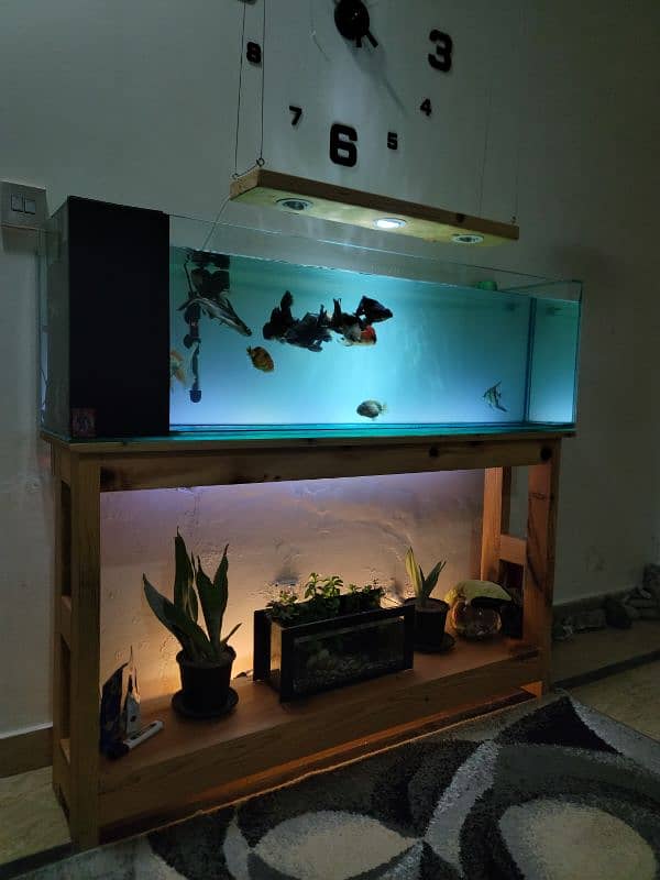 Brand new aquarium for sale 2