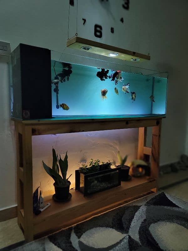 Brand new aquarium for sale 3