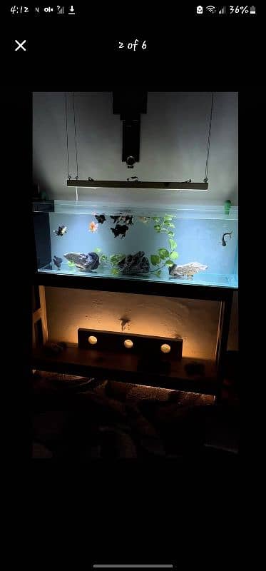 Brand new aquarium for sale 6