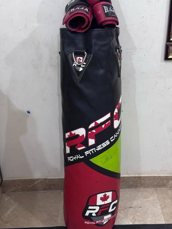 Punching bag with boxing gloves 0